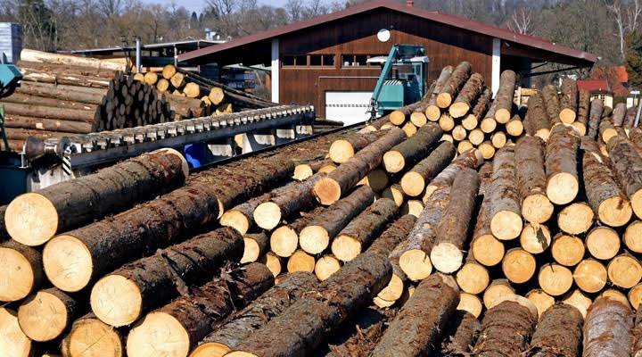 Lumber