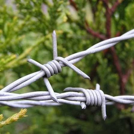 Barbed Wire Fence