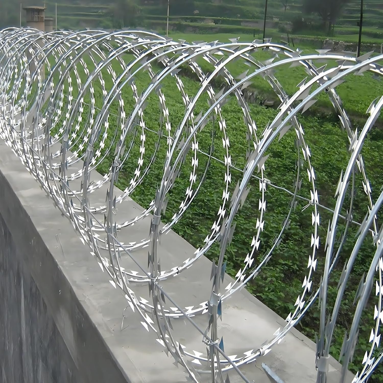 Razor Wire