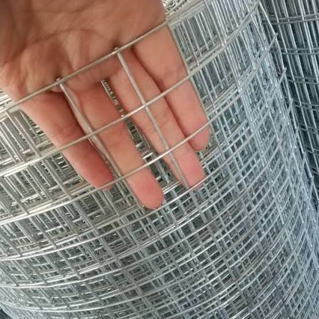 Welded Wire Mesh