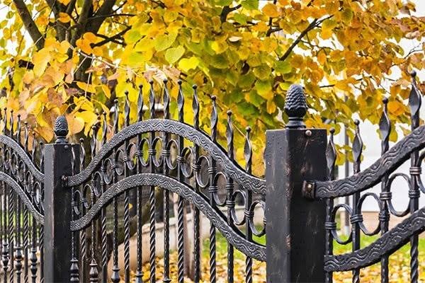 Wrought Iron Fence