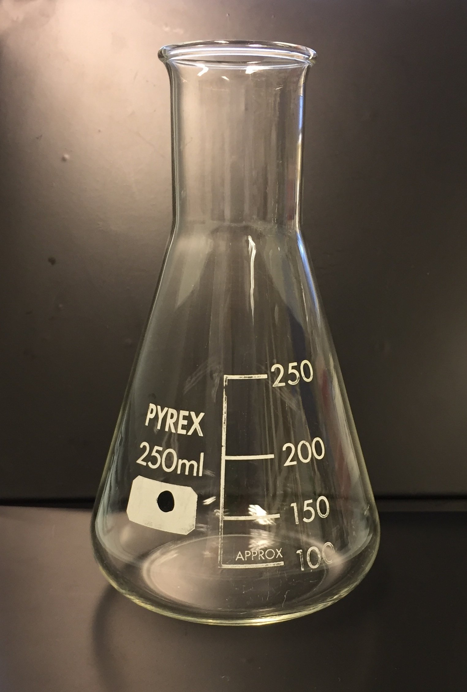 Erlenmeyer Flask