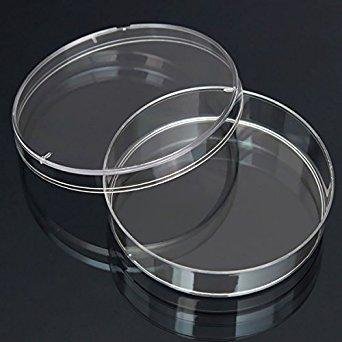 Petri Dish