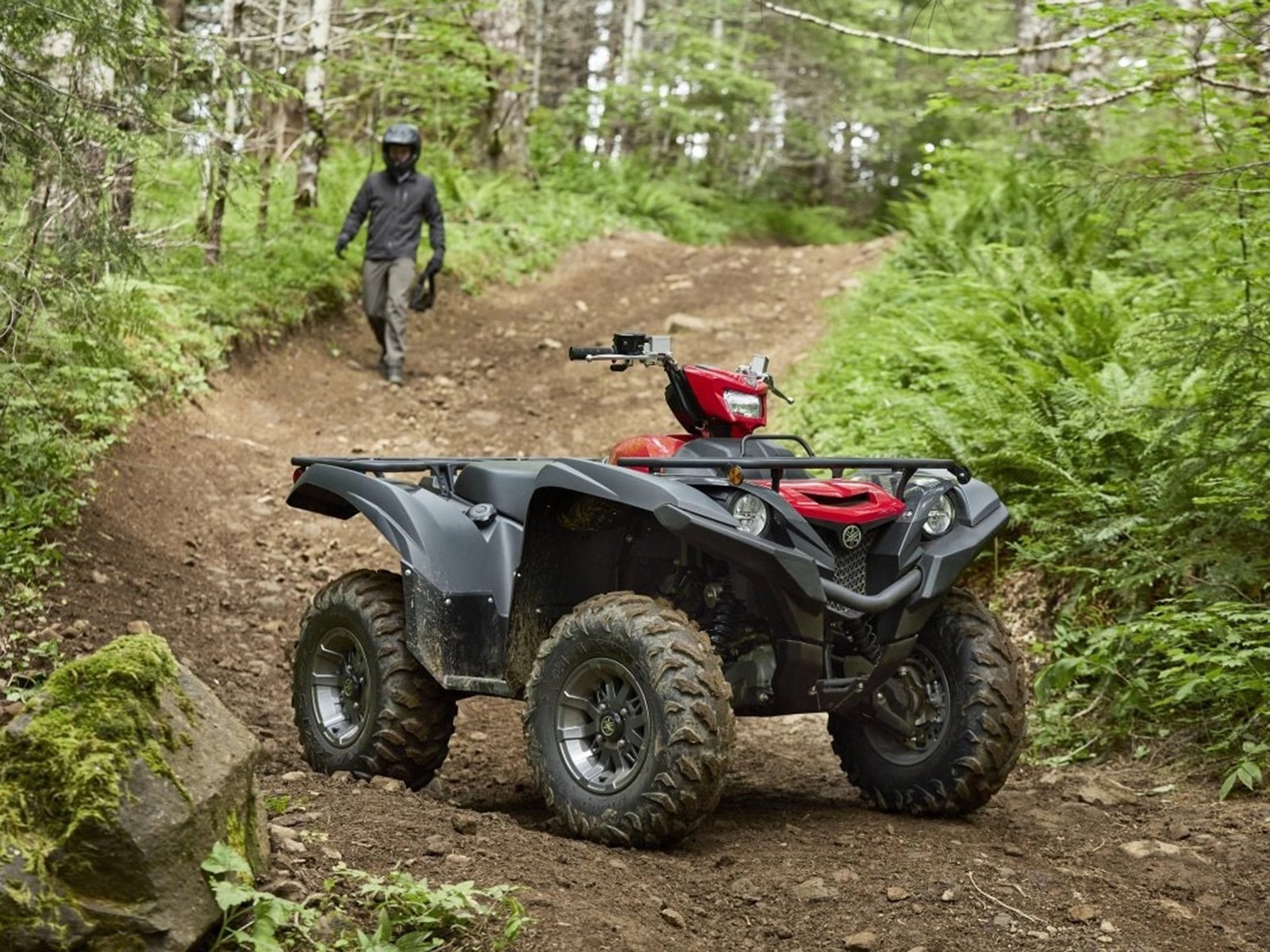 Powerful trails and work.