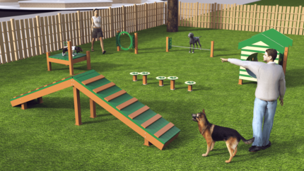 Dog Park Equipment