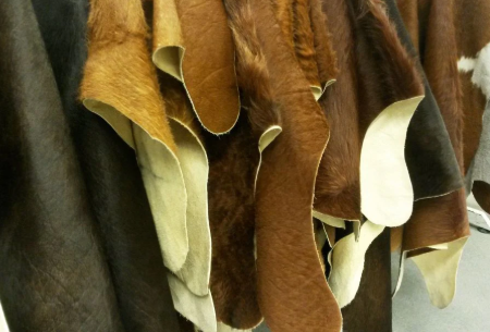 Leather & Animal-Based Raw Materials