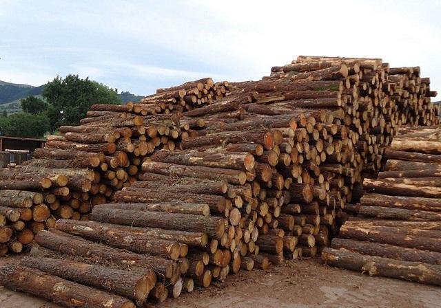 Wood & Forestry Raw Materials