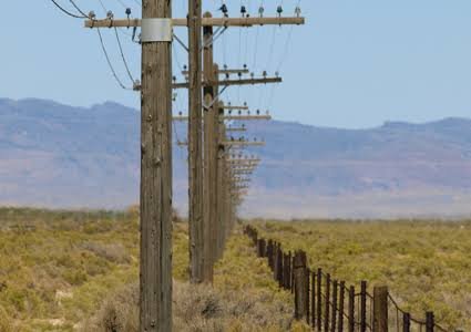 Wooden utility pole