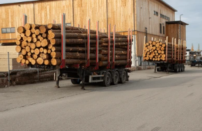 Logging  timber carrier body