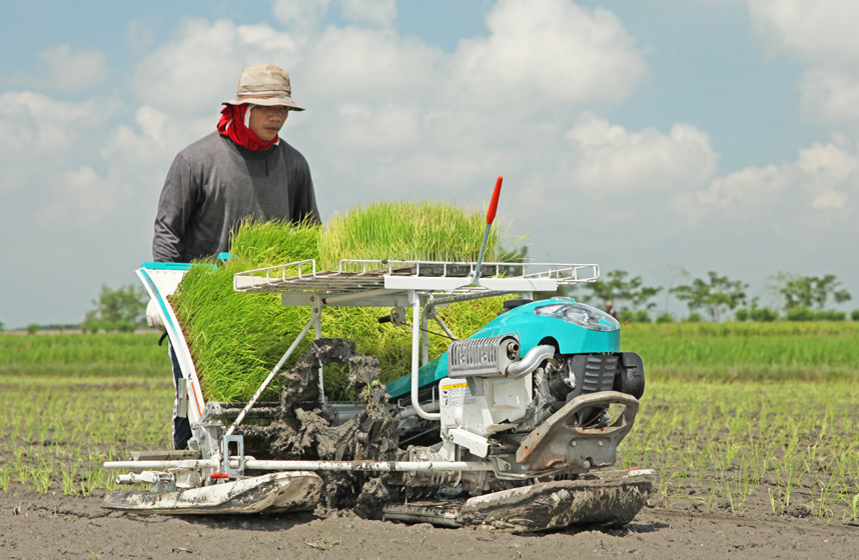 Rice Transplanter
