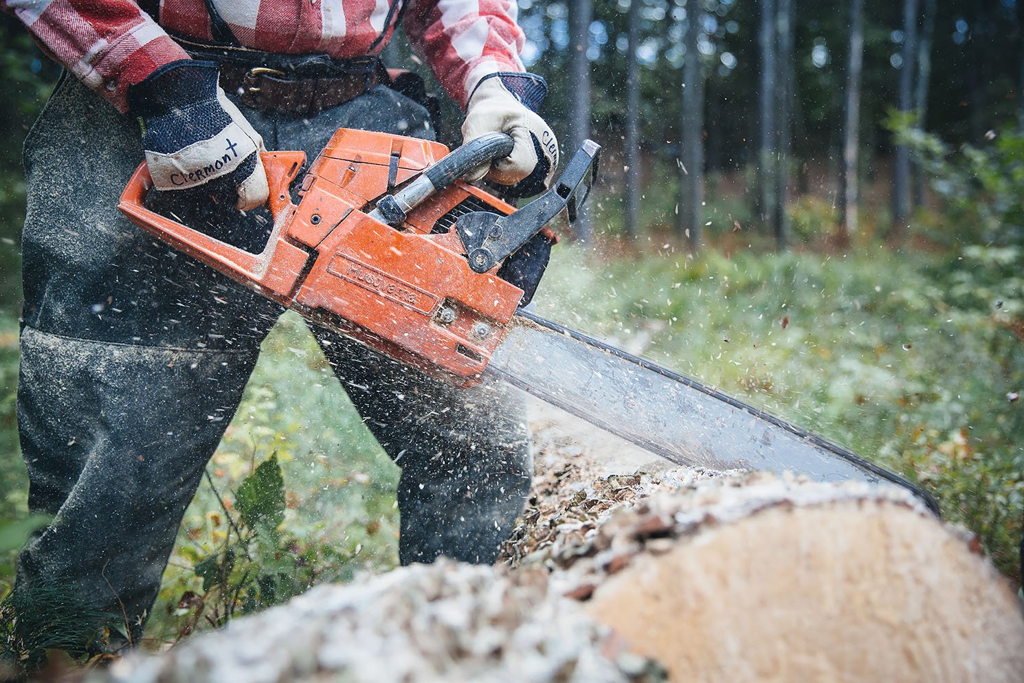 Chainsaw
