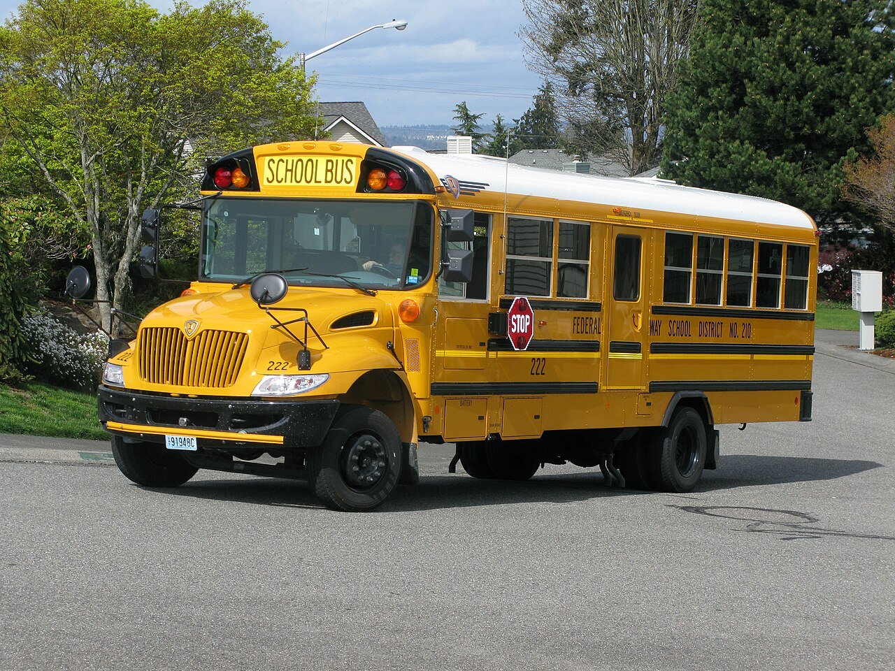 Buses